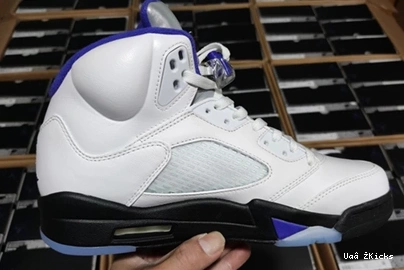 DD0587-141 CONCORD Air 587 Fashionable Jordan5 0905